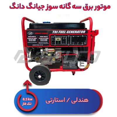 موتور برق سه گانه سوز 8.5 کیلووات جیانگ دانگ JD8500 THEB-LPG-NG